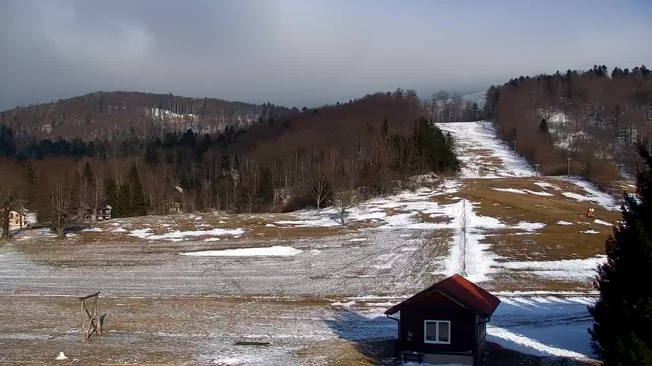 Webcam Lokve – The beauty of the Trnovo forest