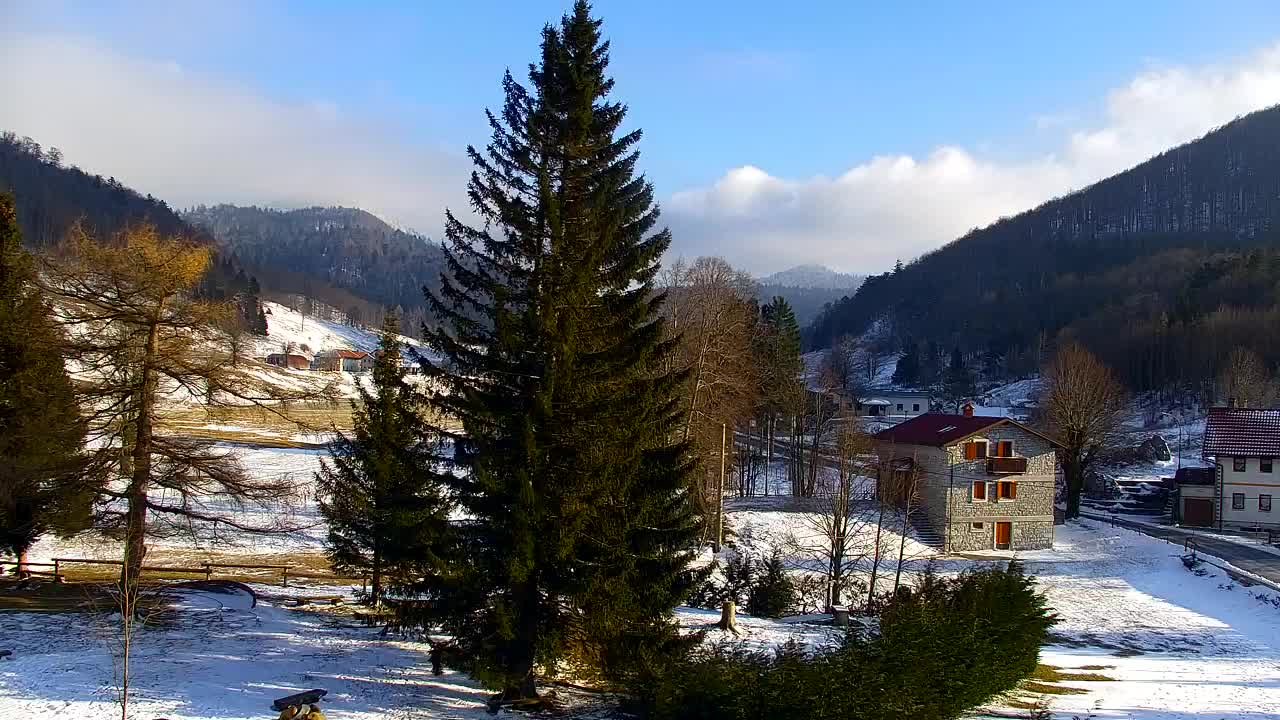 Webcam Lokve – The beauty of the Trnovo forest