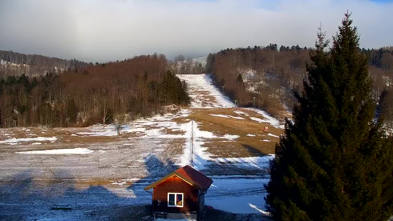 Webcam Lokve – The beauty of the Trnovo forest