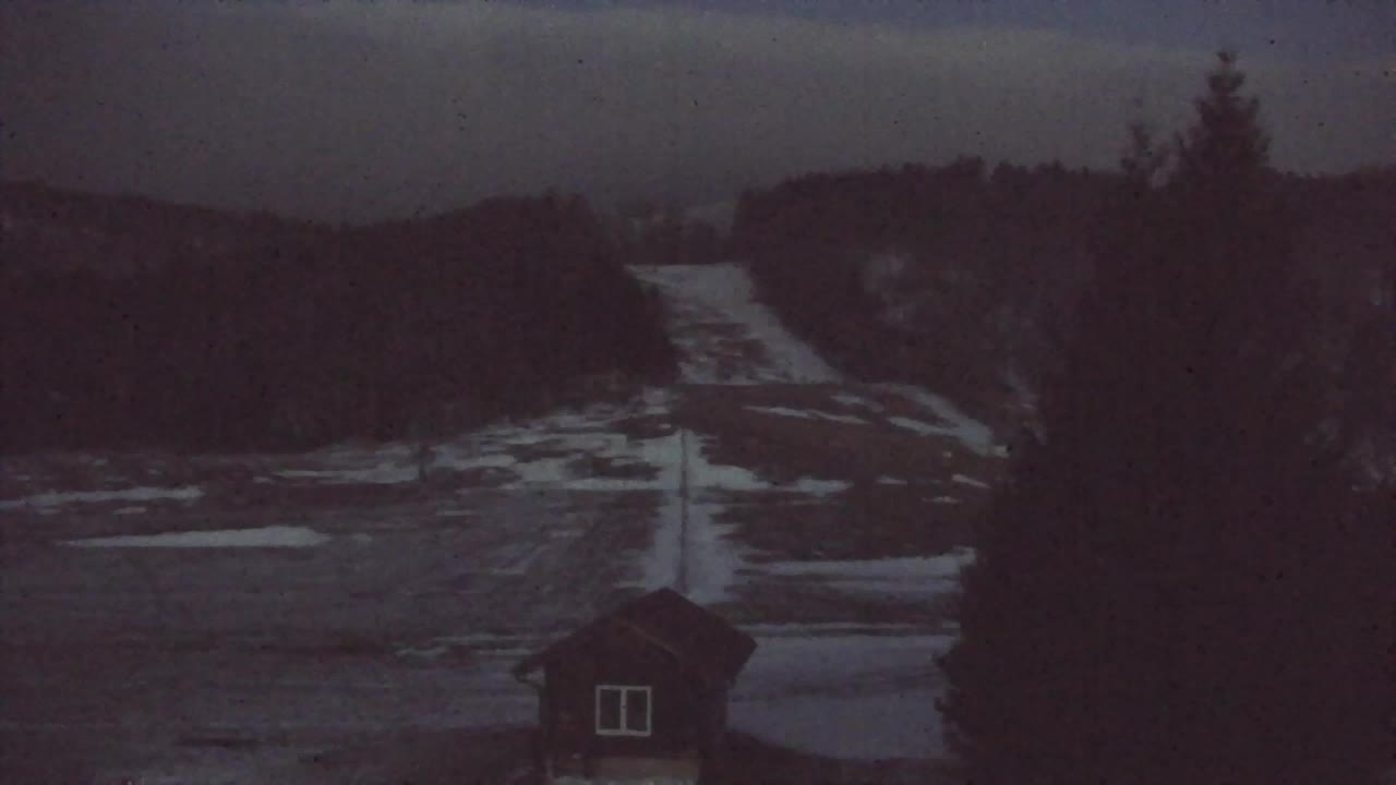 Webcam Lokve – La beauté de la forêt de Trnovo