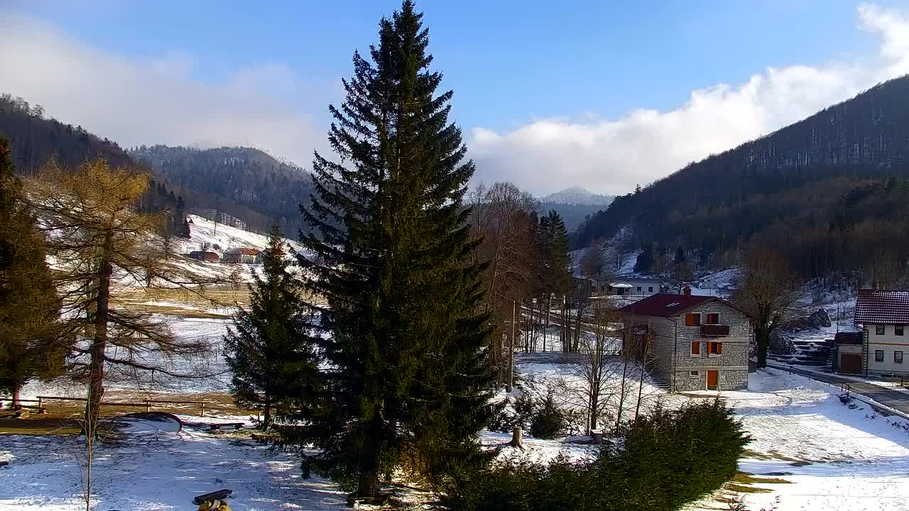 Camera en vivo Lokve – La belleza del bosque de Trnovo