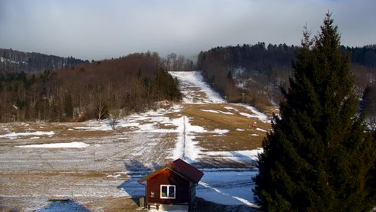 Webcam Lokve – The beauty of the Trnovo forest