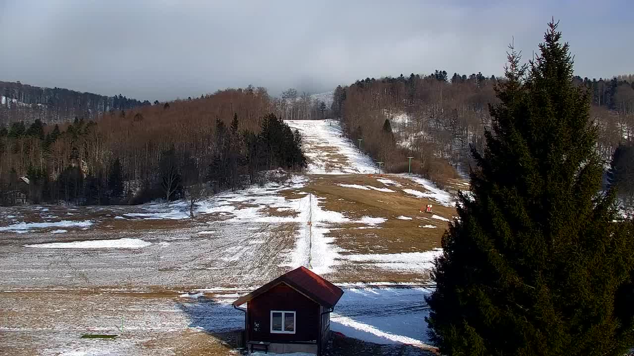 Webcam Lokve – La beauté de la forêt de Trnovo