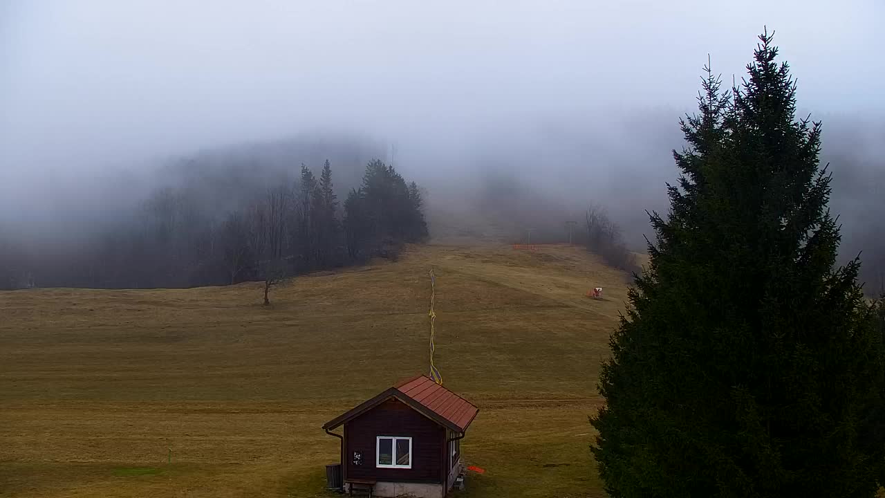 Webcam Lokve – The beauty of the Trnovo forest