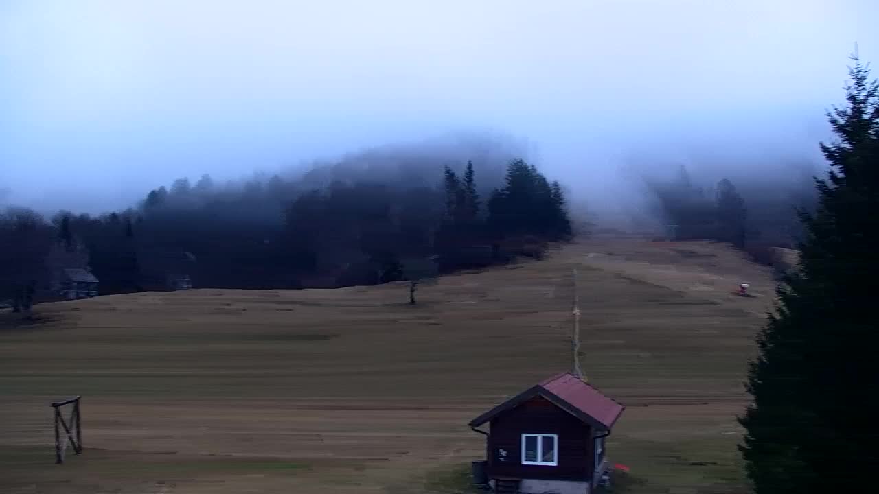 Webcam Lokve – The beauty of the Trnovo forest