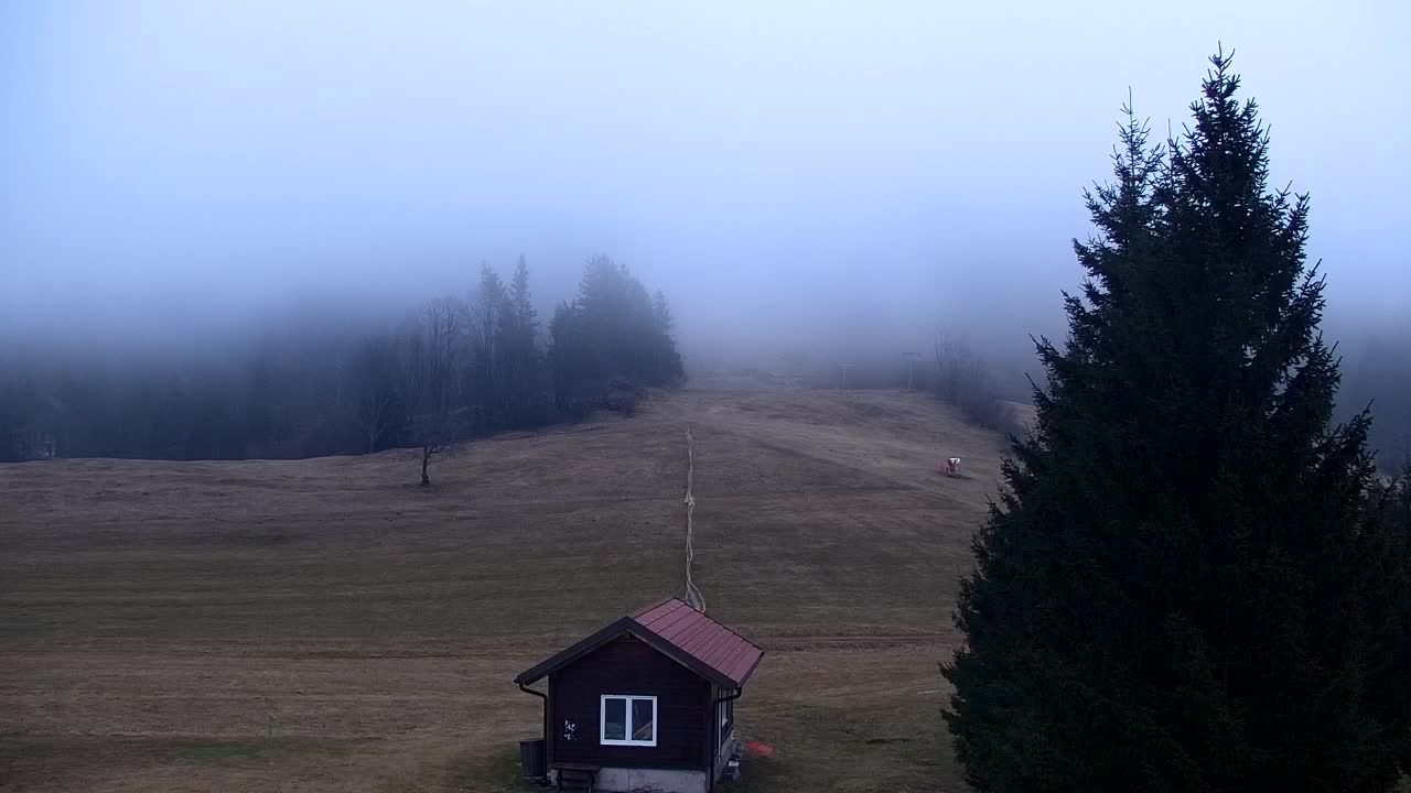 Webcam Lokve – The beauty of the Trnovo forest