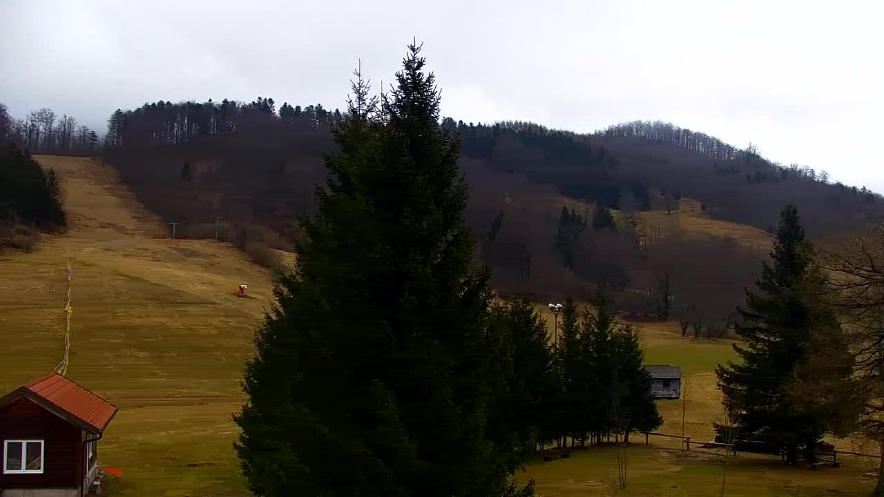 Webcam Lokve – The beauty of the Trnovo forest