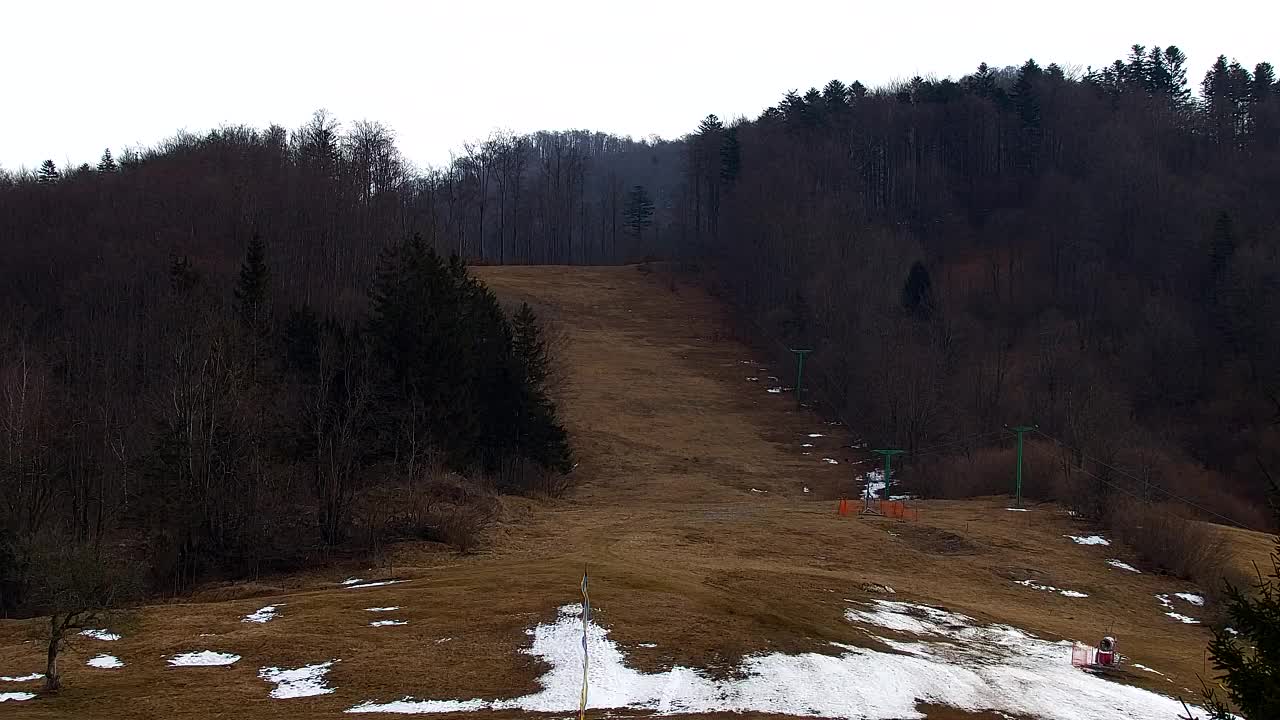 Webcam Loqua / Lokve – La bellezza della selva di Tarnova