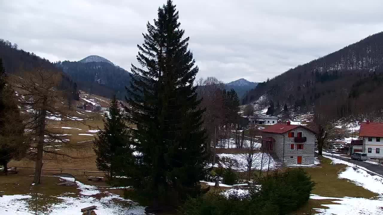 Webcam Lokve – La beauté de la forêt de Trnovo