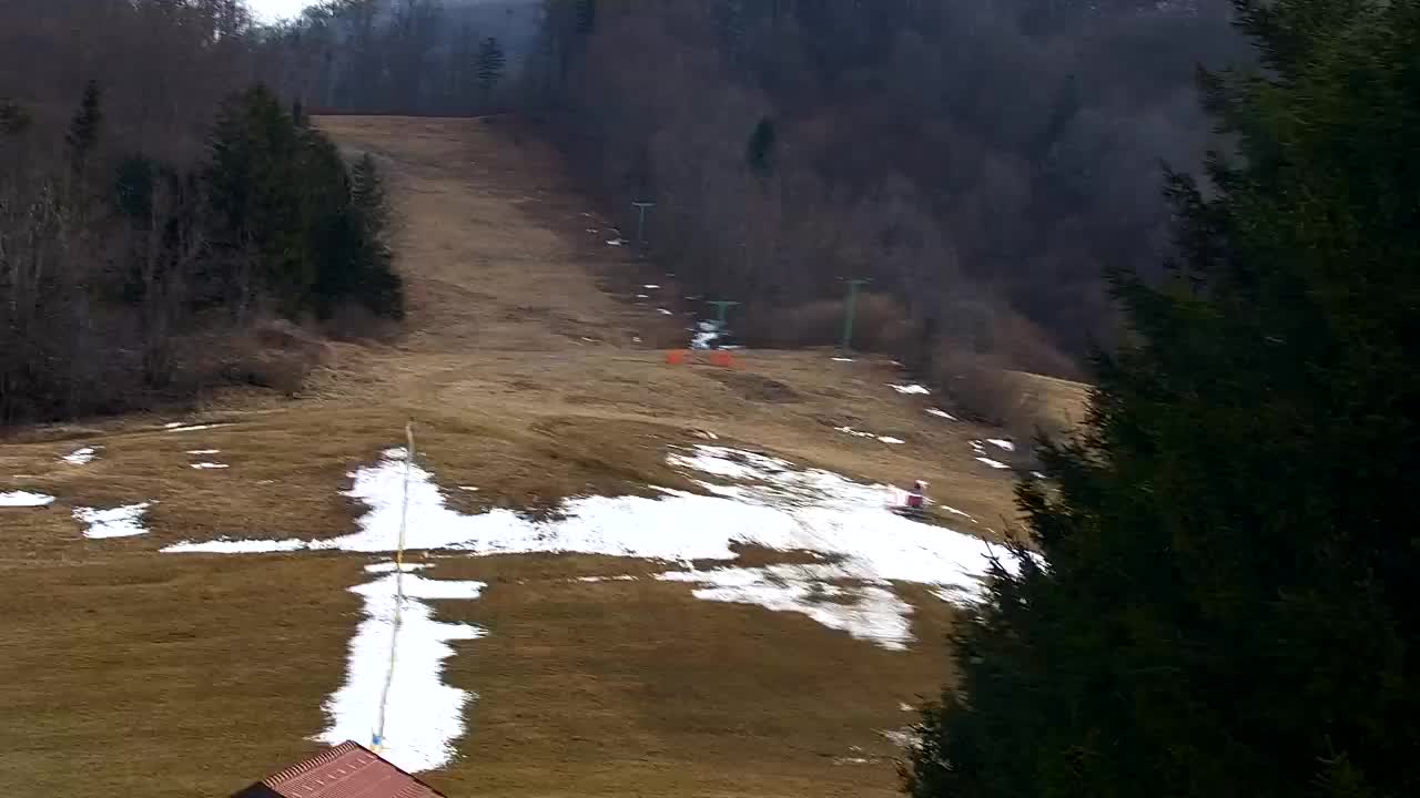 Webcam Lokve – The beauty of the Trnovo forest