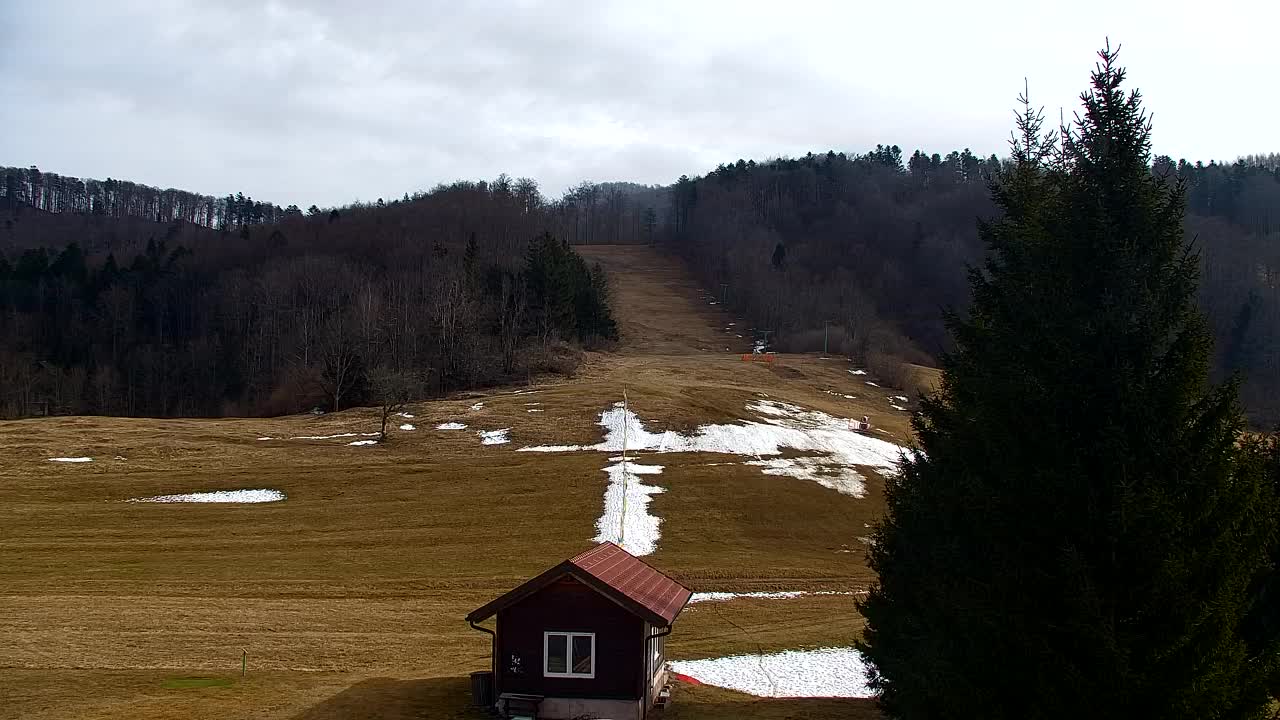 Webcam Loqua / Lokve – La bellezza della selva di Tarnova