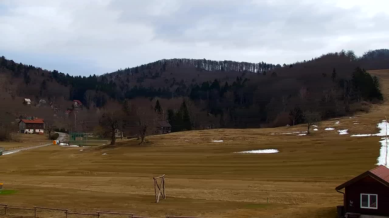 Webcam Loqua / Lokve – La bellezza della selva di Tarnova