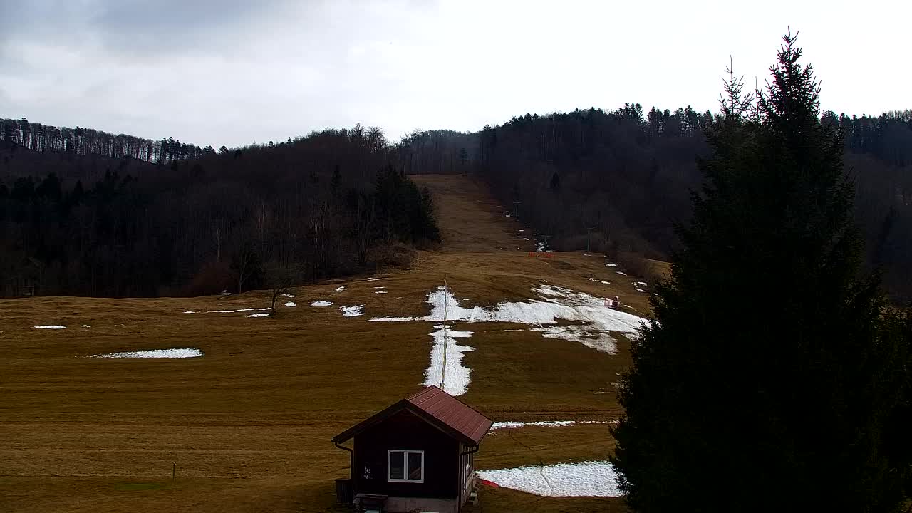 Webcam Lokve – Die Schönheit des Trnovo-Waldes