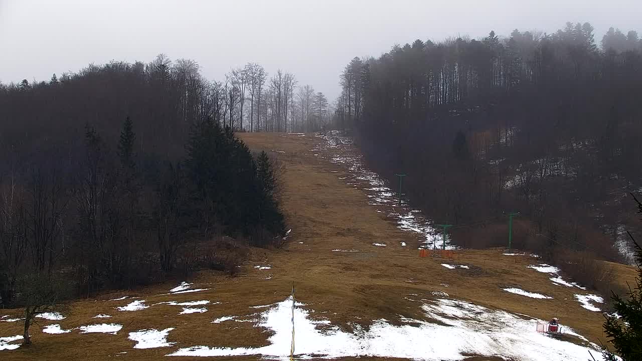 Webcam Lokve – The beauty of the Trnovo forest