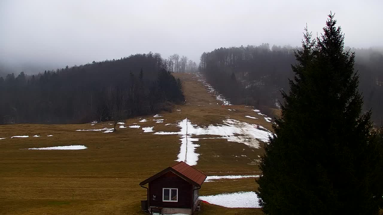 Webcam Lokve – The beauty of the Trnovo forest