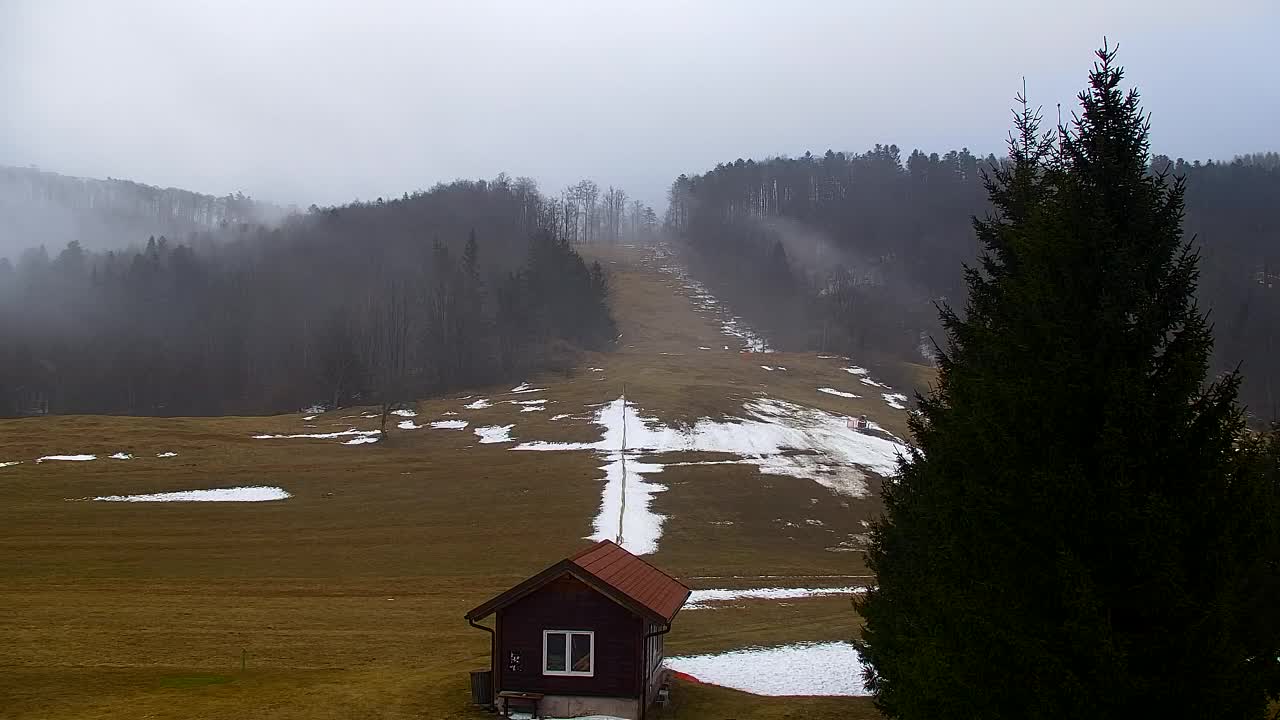 Webcam Loqua / Lokve – La bellezza della selva di Tarnova