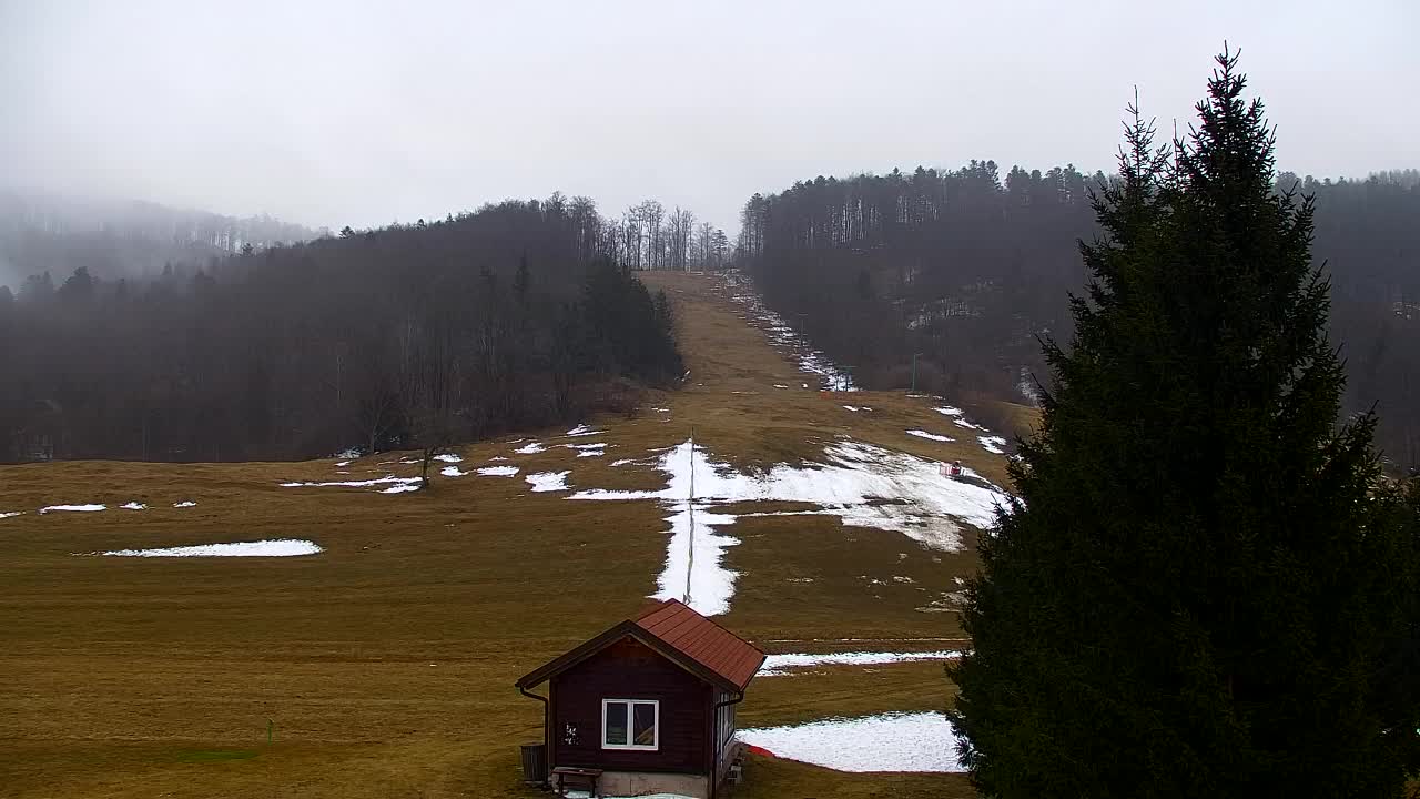 Webcam Loqua / Lokve – La bellezza della selva di Tarnova