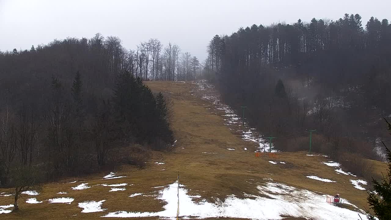 Webcam Lokve – The beauty of the Trnovo forest