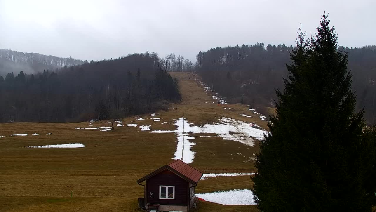 Webcam Lokve – The beauty of the Trnovo forest