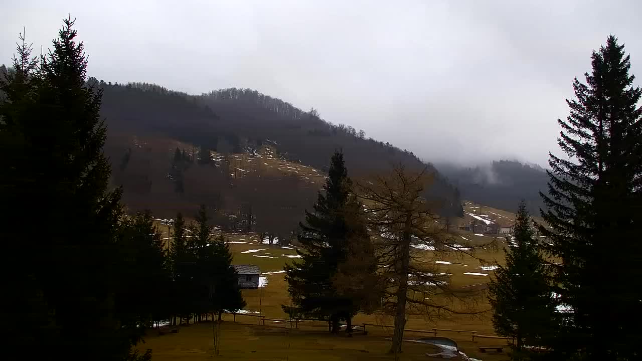 Webcam Lokve – La beauté de la forêt de Trnovo