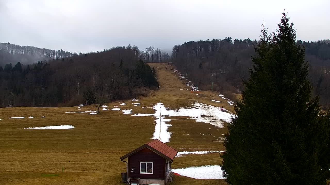 Webcam Loqua / Lokve – La bellezza della selva di Tarnova