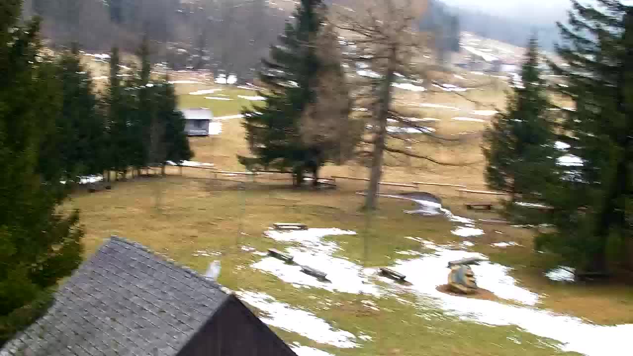 Webcam Lokve – La beauté de la forêt de Trnovo