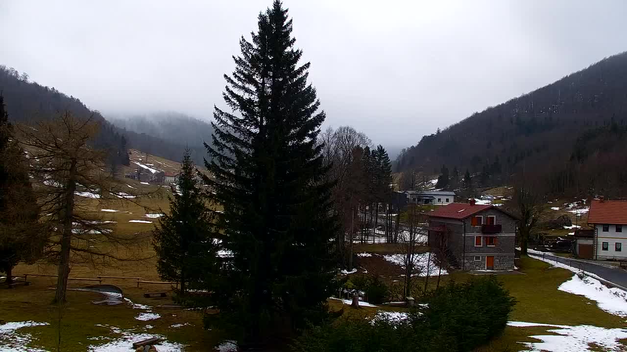 Webcam Lokve – La beauté de la forêt de Trnovo