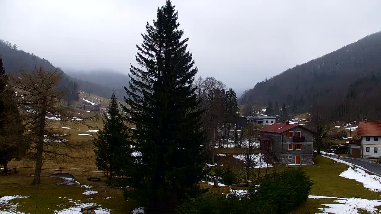 Webcam Lokve – La beauté de la forêt de Trnovo