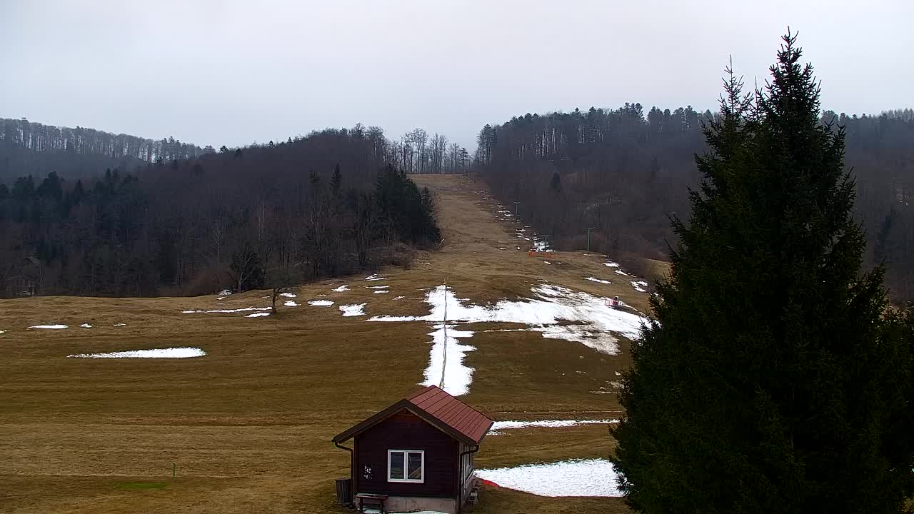 Webcam Lokve – La beauté de la forêt de Trnovo