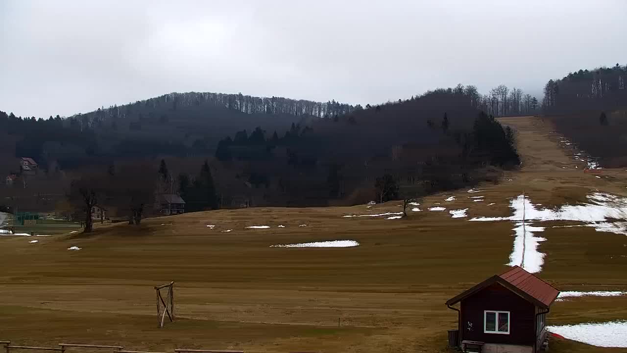 Webcam Lokve – The beauty of the Trnovo forest