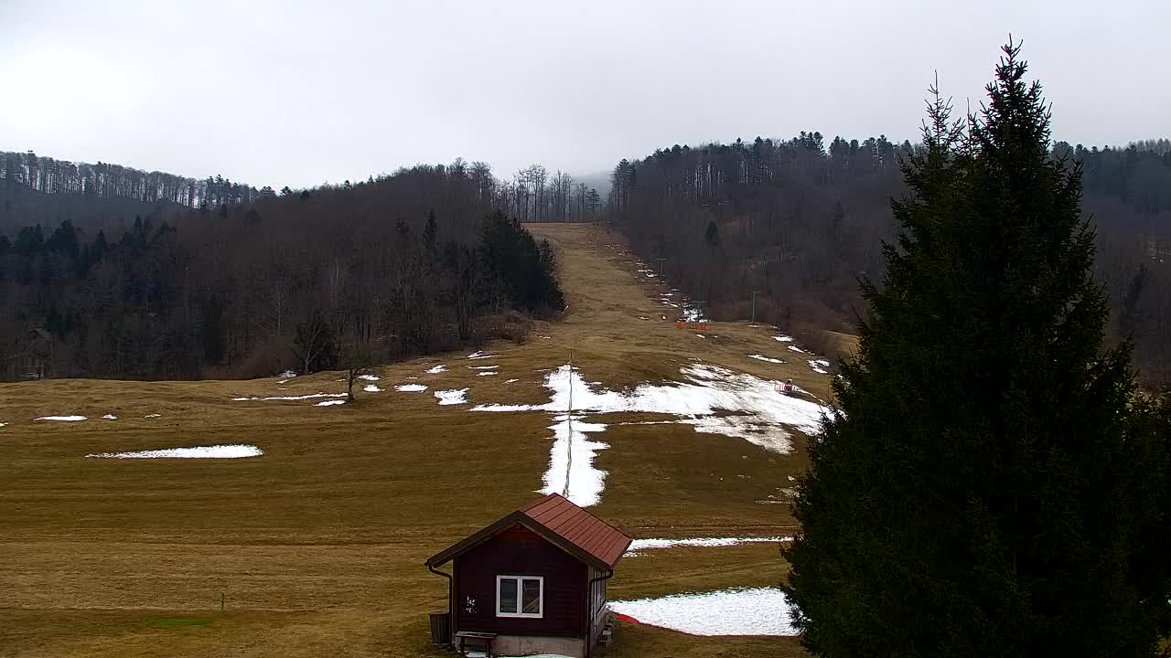 Webcam Lokve – La beauté de la forêt de Trnovo