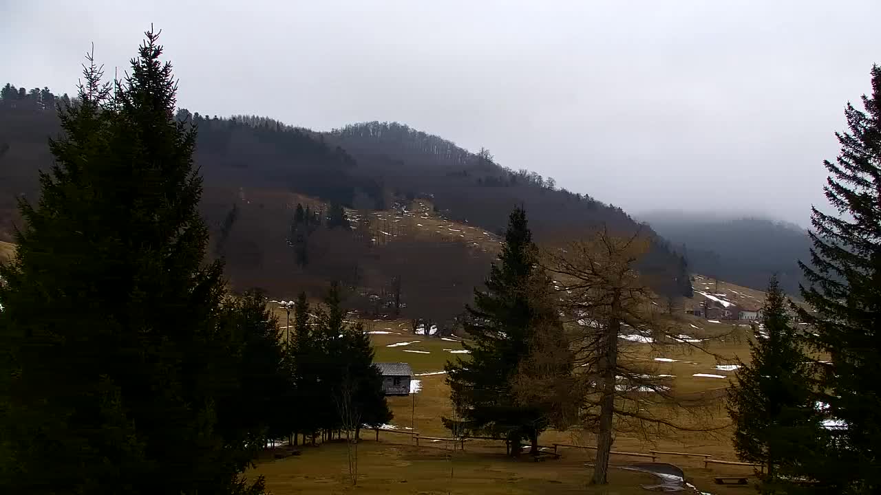 Webcam Lokve – The beauty of the Trnovo forest