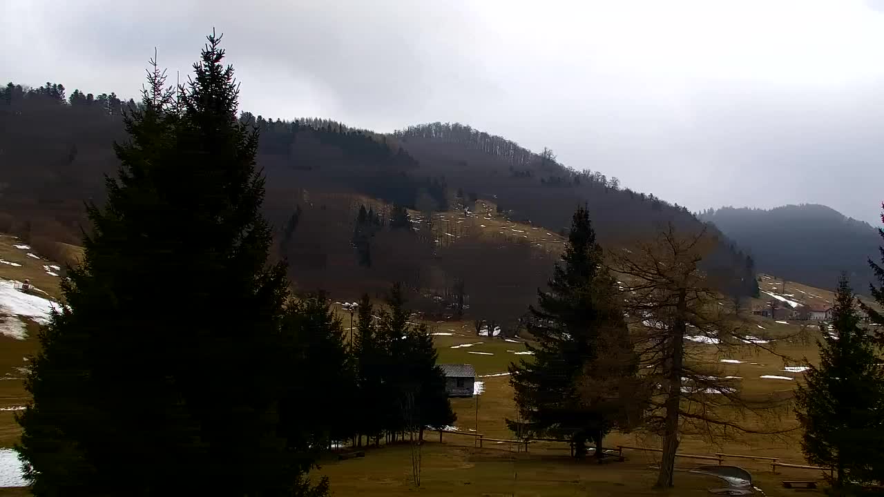 Webcam Lokve – La beauté de la forêt de Trnovo