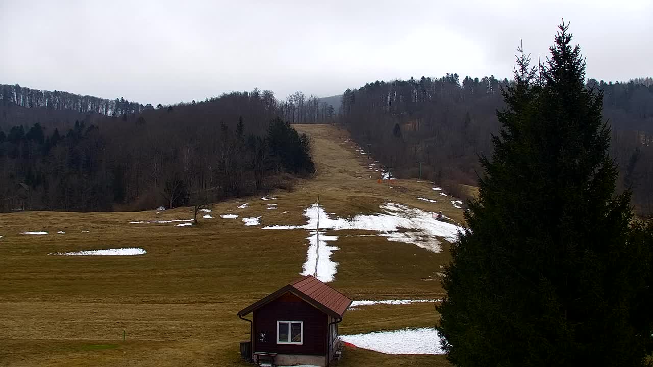 Webcam Lokve – The beauty of the Trnovo forest