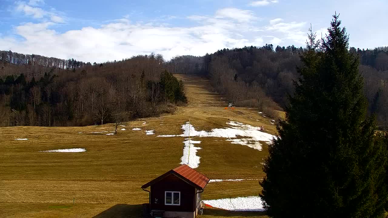 Webcam Lokve – The beauty of the Trnovo forest