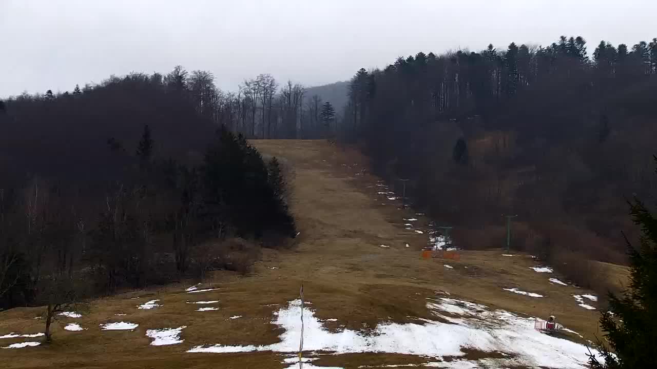 Webcam Lokve – La beauté de la forêt de Trnovo