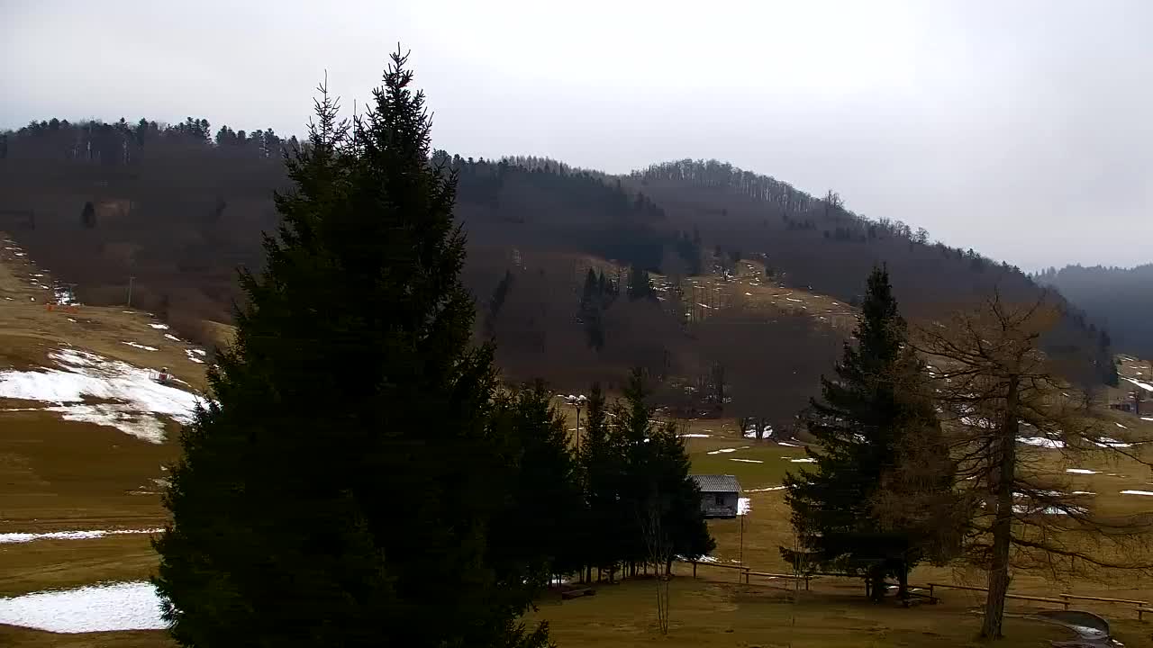 Webcam Lokve – The beauty of the Trnovo forest