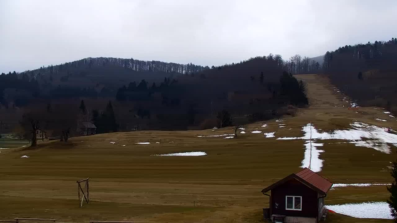 Webcam Lokve – La beauté de la forêt de Trnovo