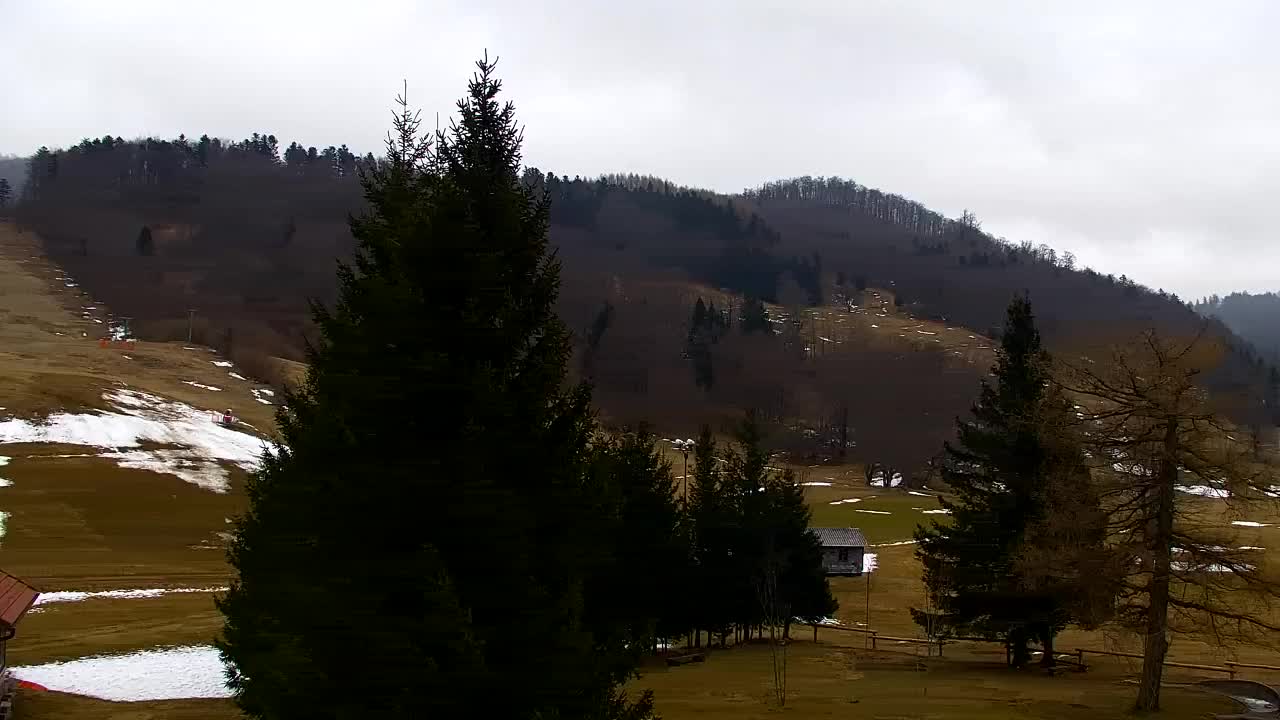 Webcam Lokve – The beauty of the Trnovo forest