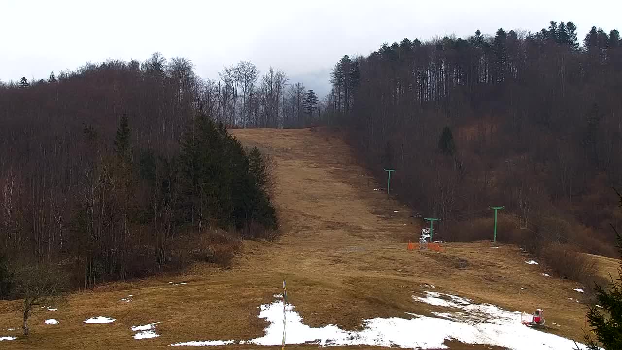 Webcam Lokve – The beauty of the Trnovo forest