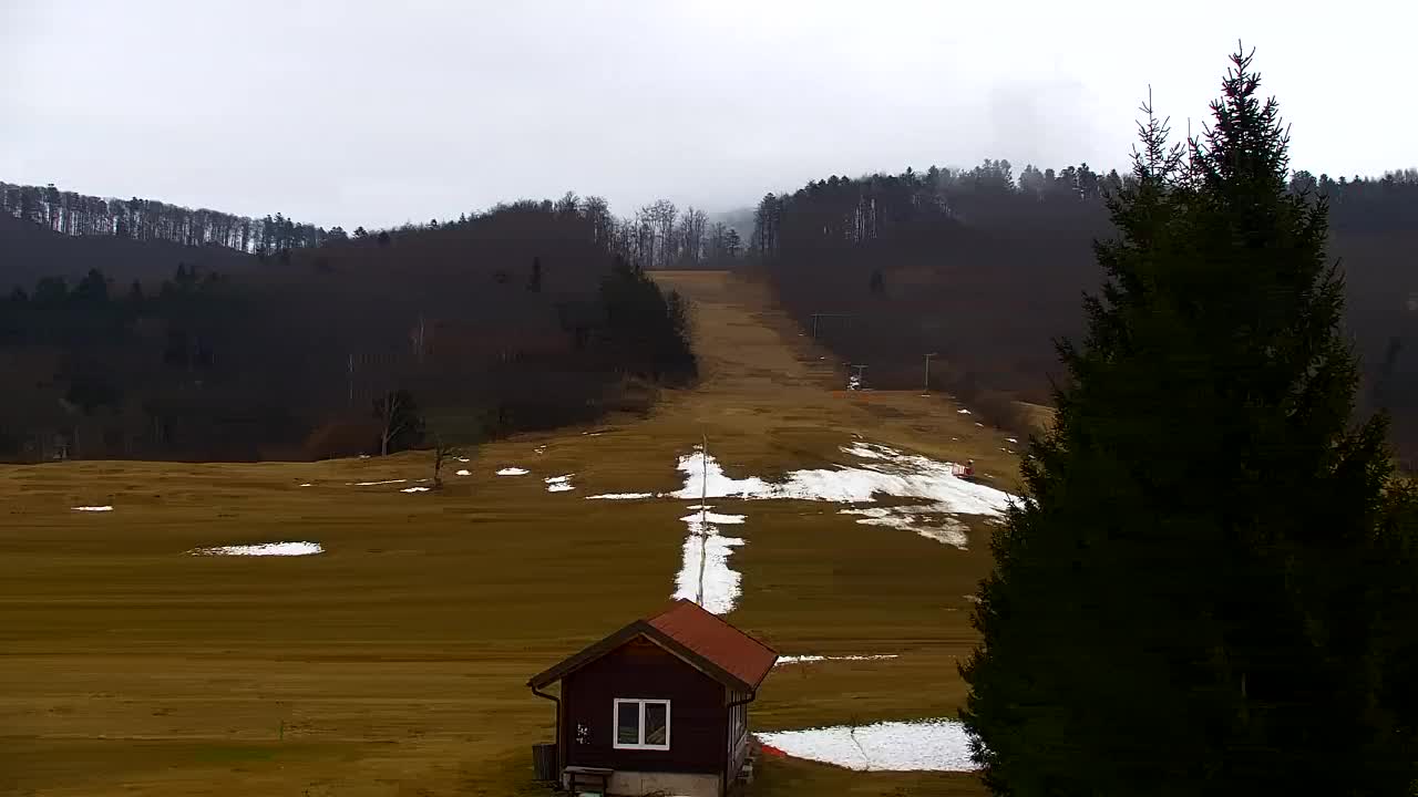 Webcam Lokve – Die Schönheit des Trnovo-Waldes