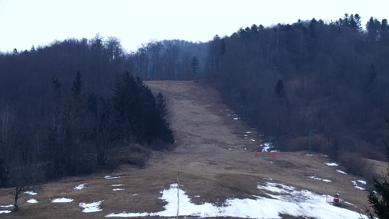 Webcam Lokve – La beauté de la forêt de Trnovo