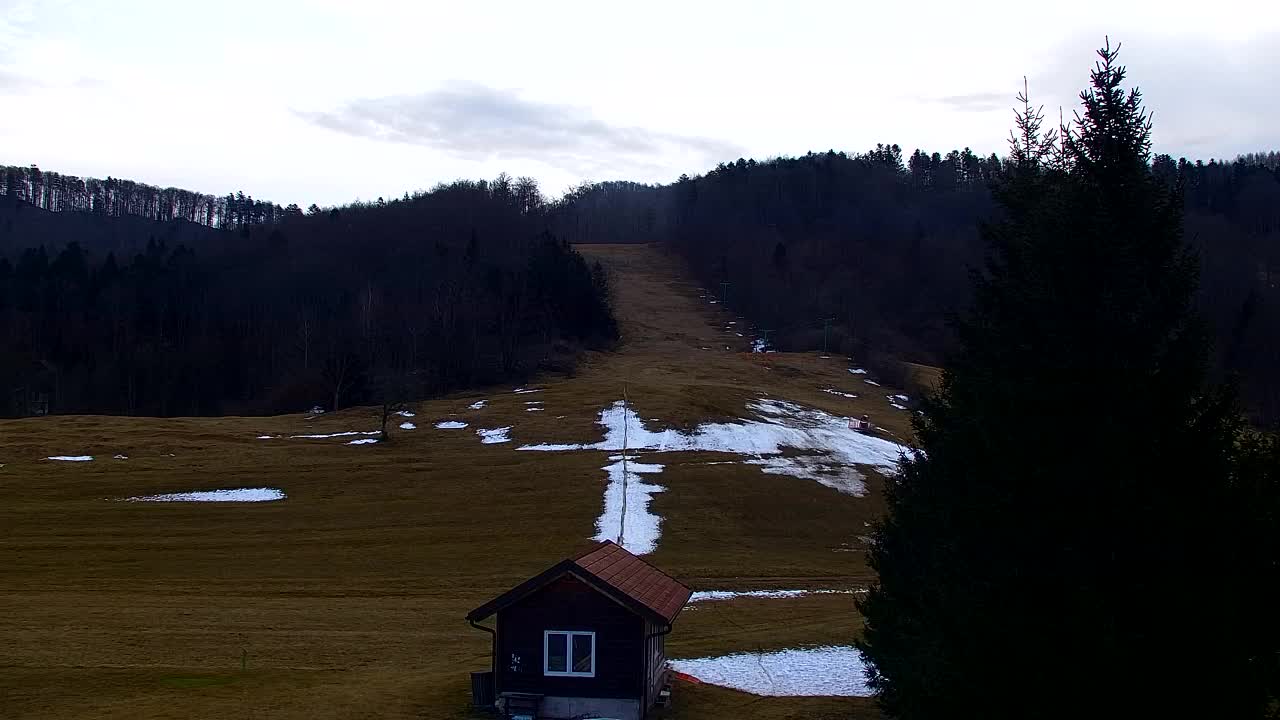 Webcam Lokve – La beauté de la forêt de Trnovo