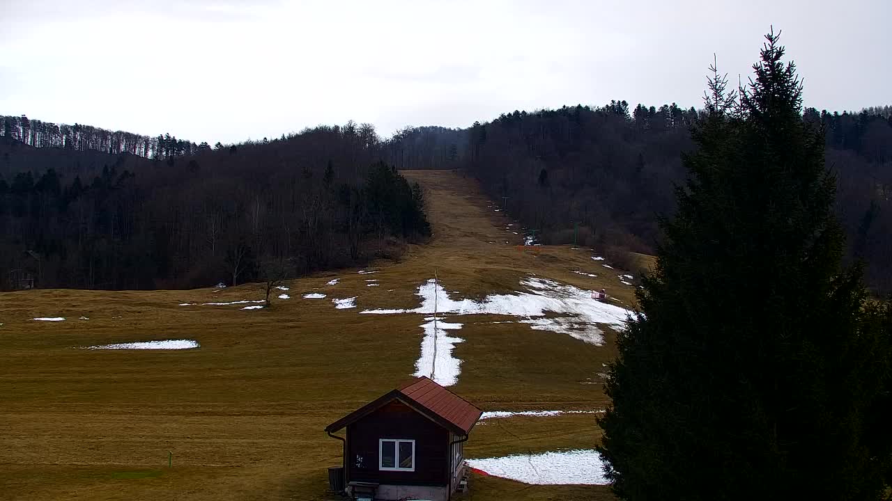 Webcam Lokve – Die Schönheit des Trnovo-Waldes