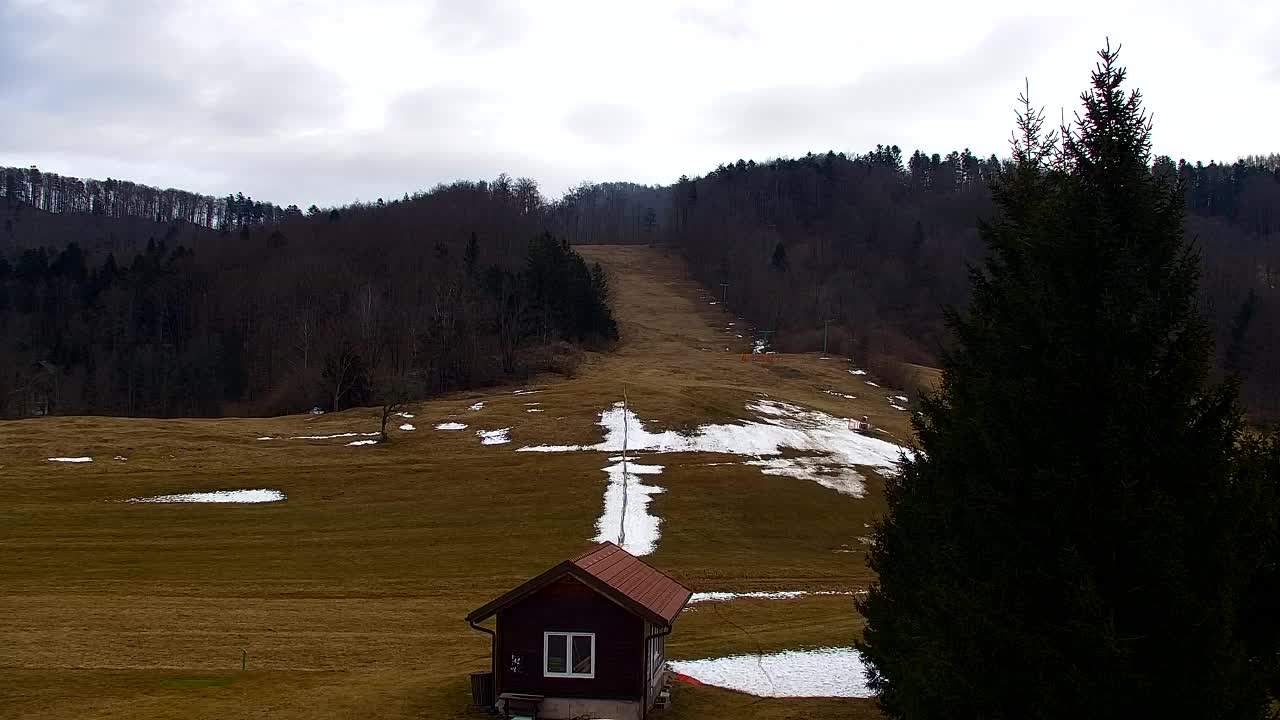 Webcam Lokve – La beauté de la forêt de Trnovo