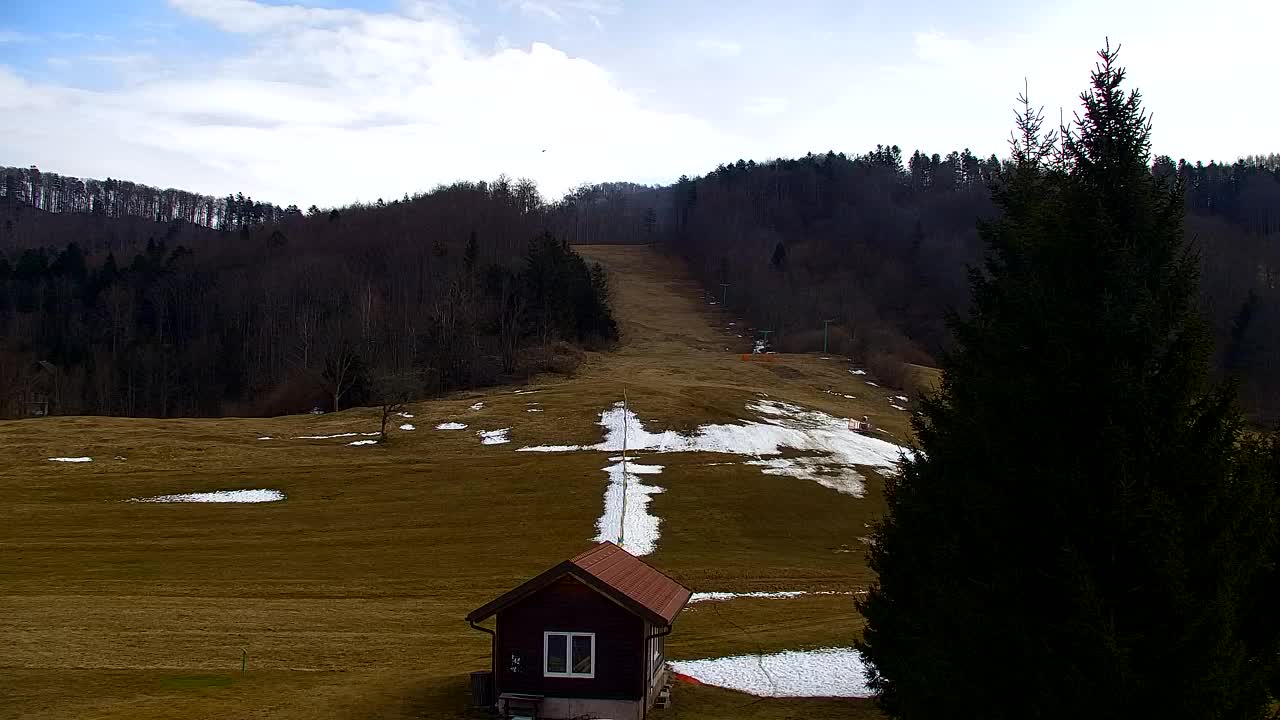 Webcam Lokve – The beauty of the Trnovo forest