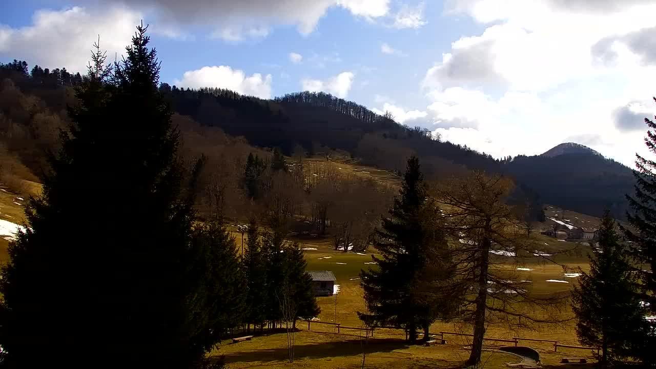 Webcam Lokve – The beauty of the Trnovo forest