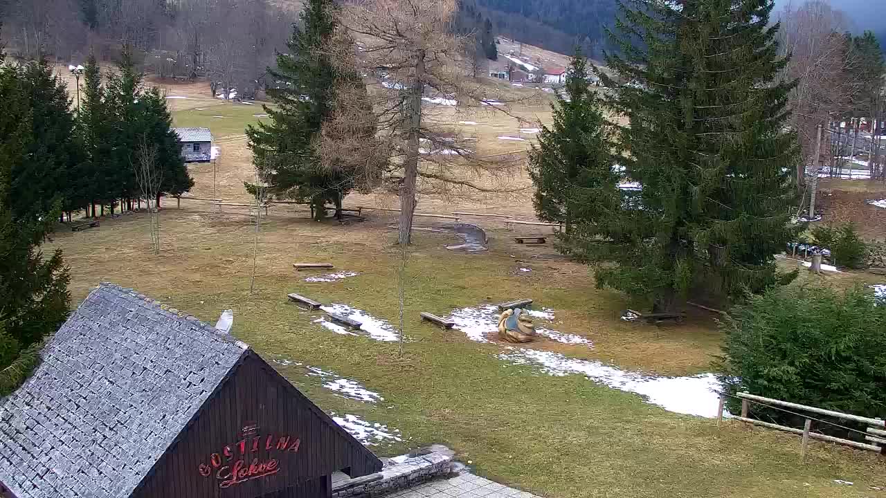 Webcam Lokve – La beauté de la forêt de Trnovo