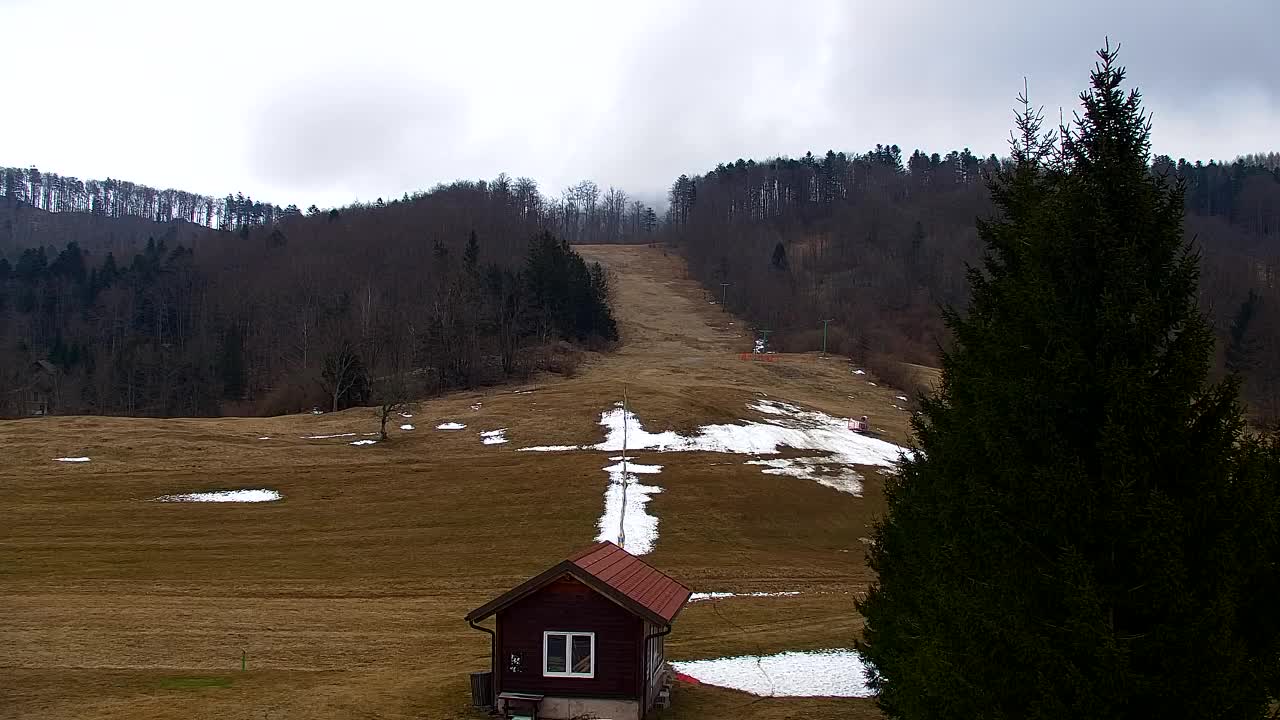 Webcam Lokve – The beauty of the Trnovo forest