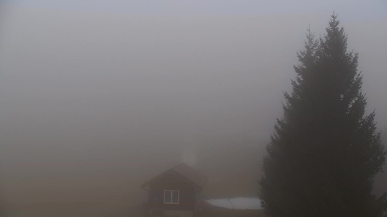 Webcam Lokve – La beauté de la forêt de Trnovo